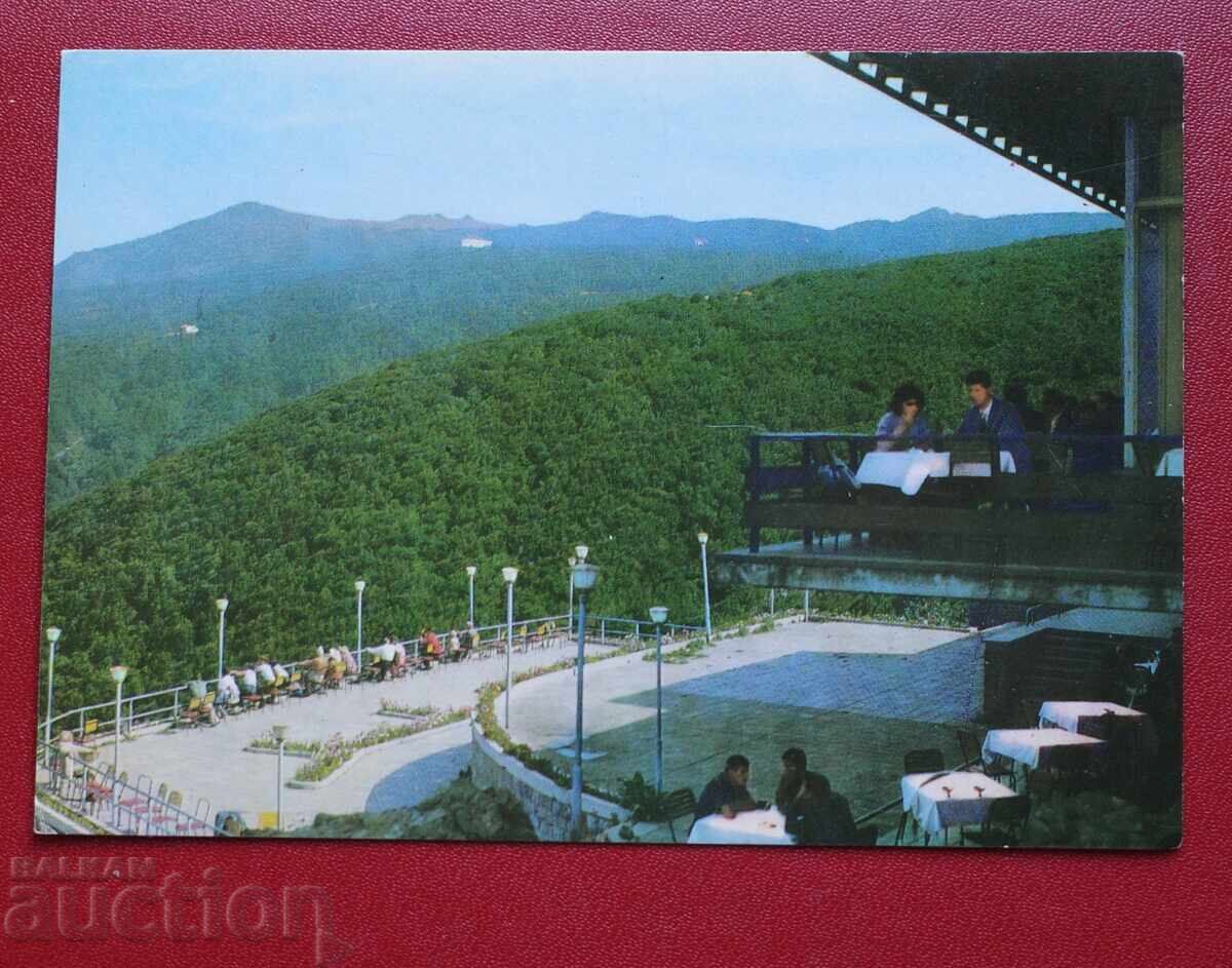 Σόφια - Εστιατόριο Κοπιτότο