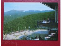 Σόφια - Εστιατόριο Κοπιτότο