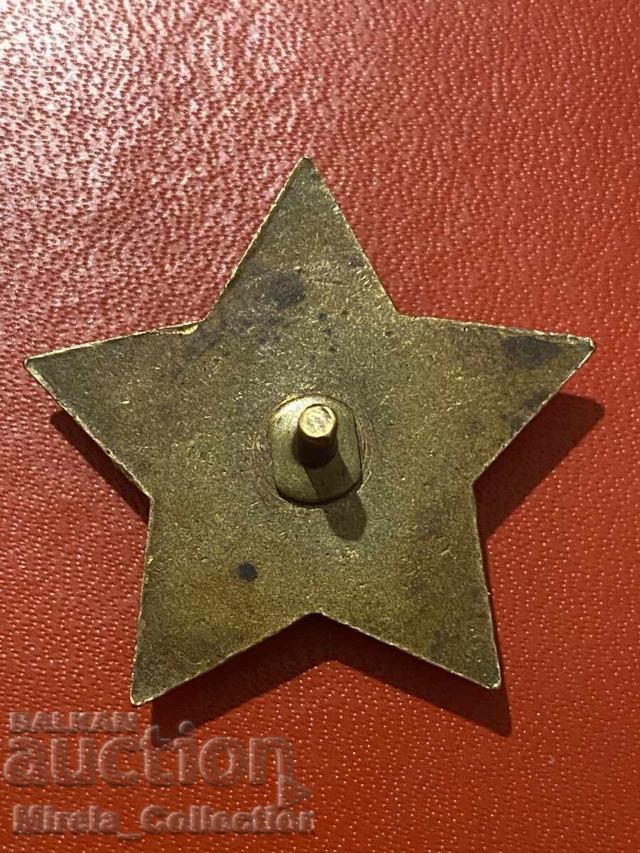 Delivery of Rare People's Freedom Partisan Star Badge