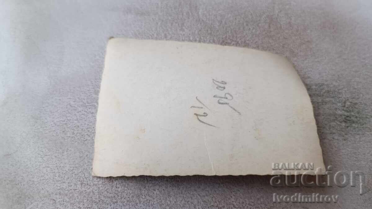 Снимка Момченце седнало на препарирана мечка с цена 1.85 лв. | € 0.95