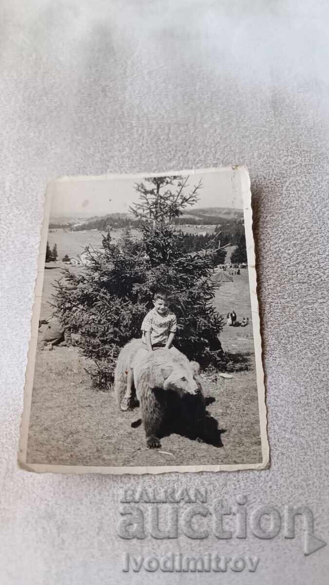 Снимка Момченце седнало на препарирана мечка