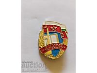 Badge - Excellent in Combat and Political Training