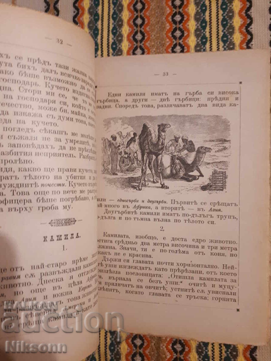 Mladina, 1903, cartea 2 cu preț 12.00 BGN | € 6.14