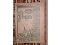 Mladina, 1902, nr. 6