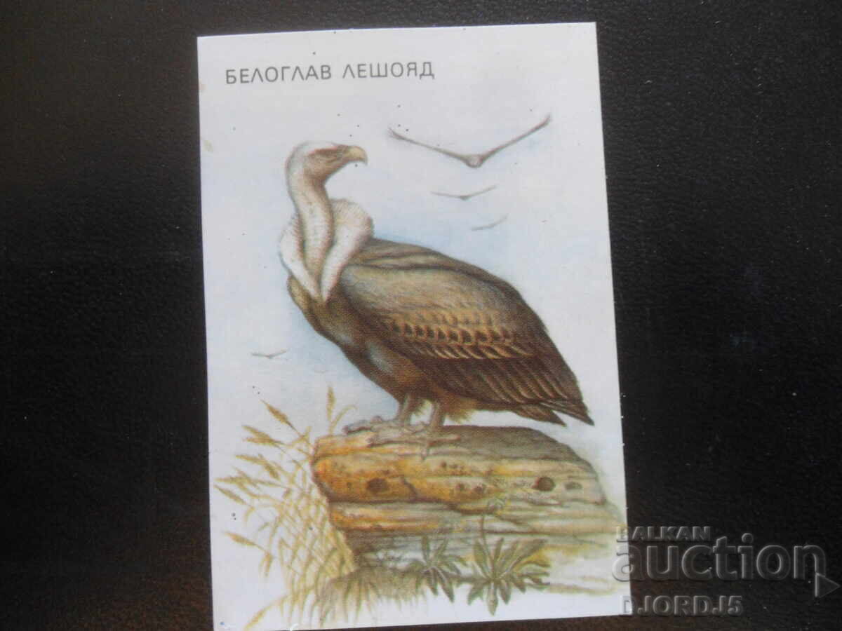 Calendar vechi bulgăresc, 1989 Calendar vechi bulgăresc, 1989