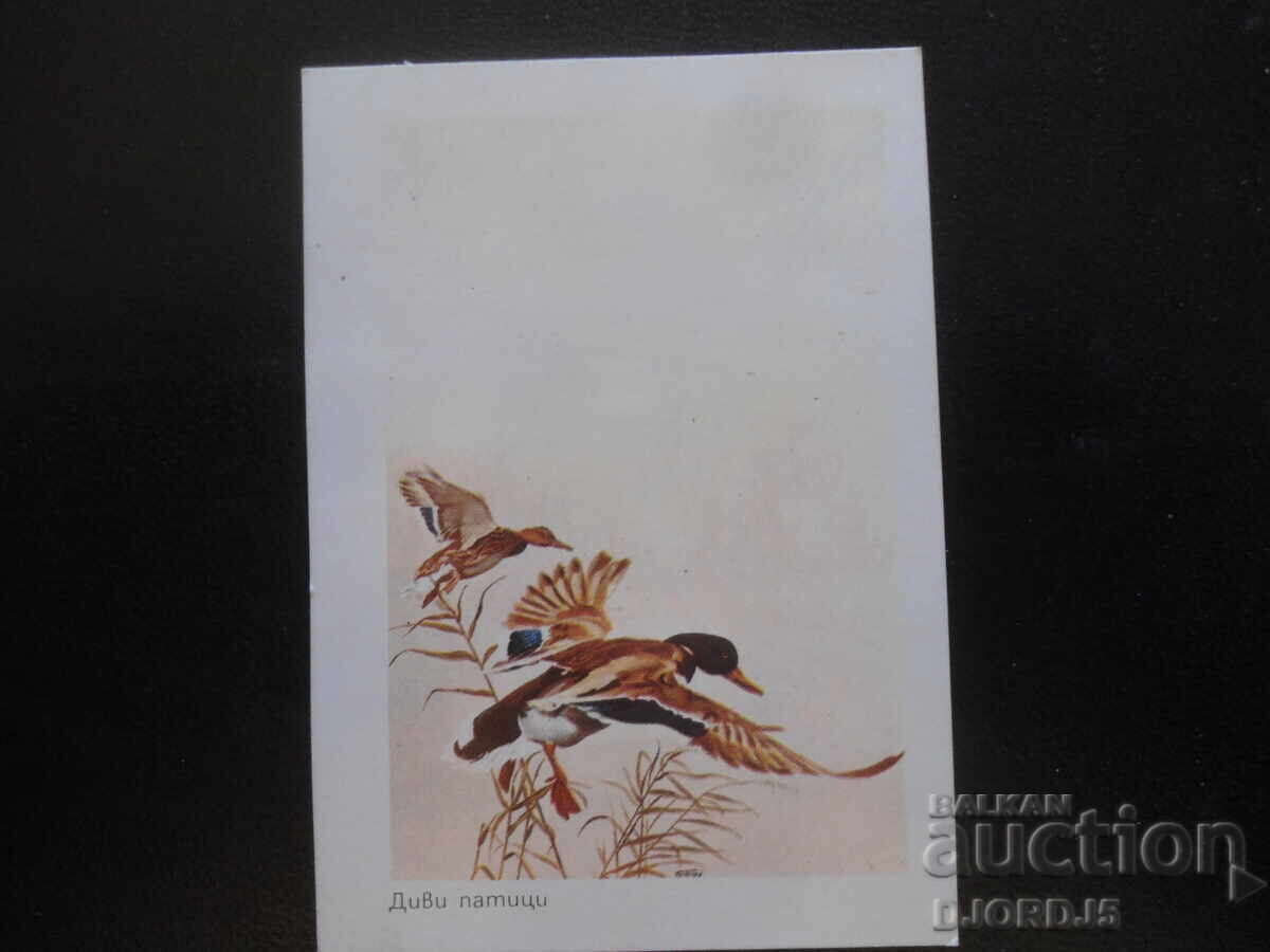 Παλαιό βουλγαρικό ημερολόγιο, 1984