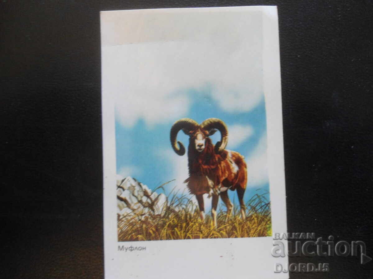 Calendar bulgăresc vechi, 1984