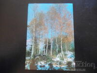 НАРОДЕН ПАРК "ВИТОША"