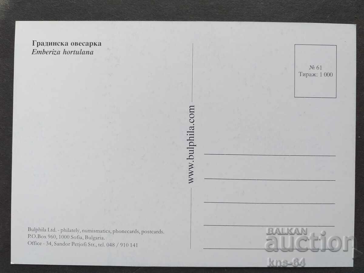 Птици с цена 0.55 лв. | € 0.28