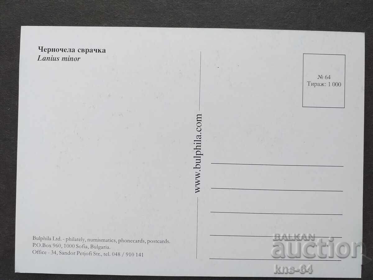 Păsări cu preț 0.55 BGN | € 0.28 Păsări cu preț 0.55 BGN | € 0.28