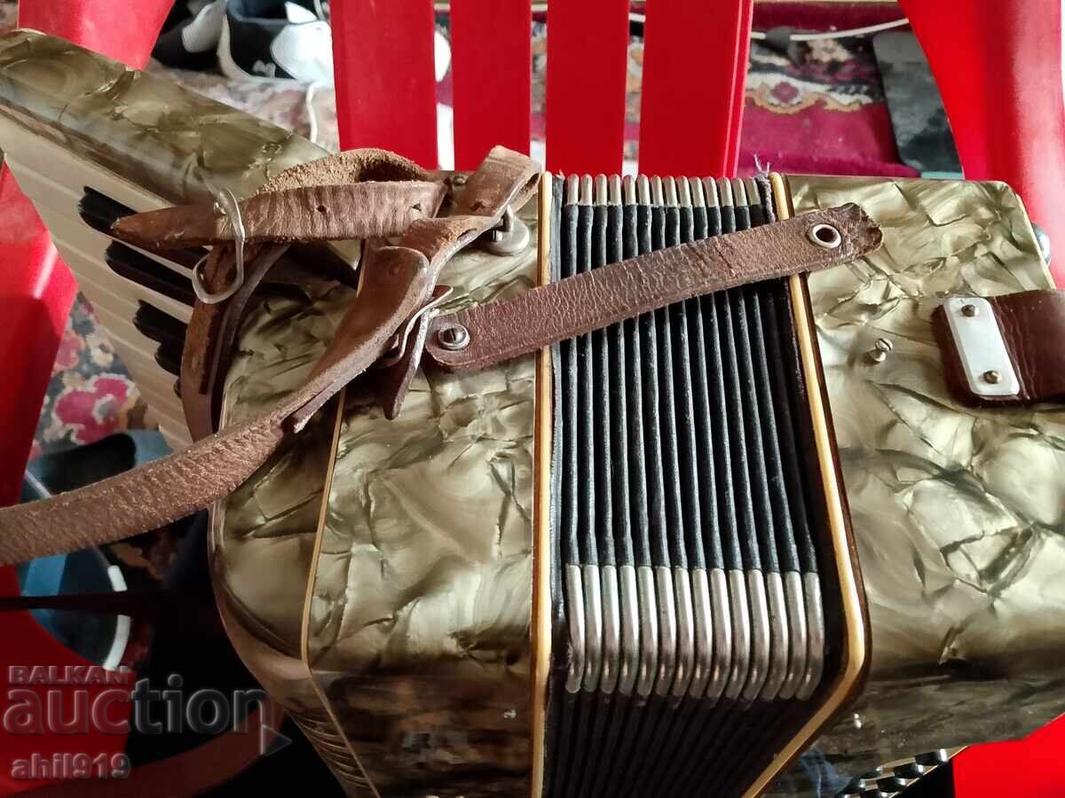 Livrarea Acordeon vechi Weltmaser