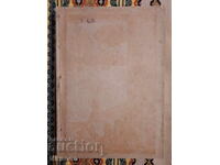 Mladina, 1898 și 1899, 10 numere consecutive