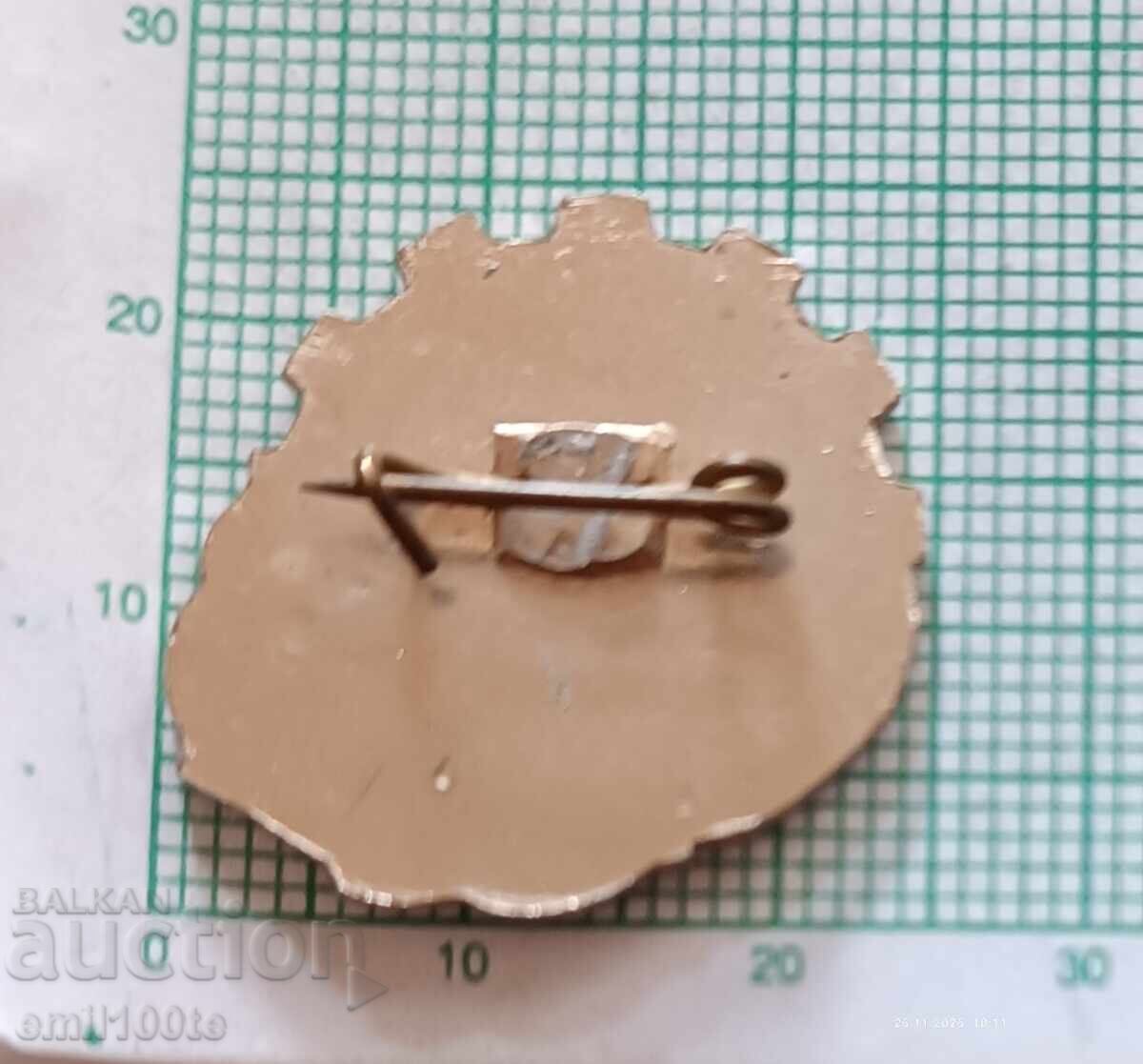 Доставка на Значка- Спортен и футболен клуб Металист ДСО Авангард СССР