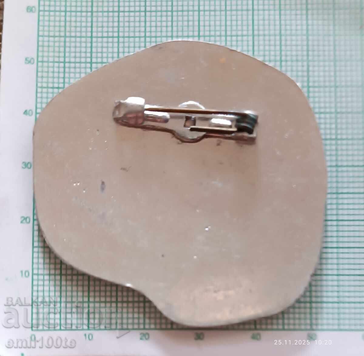 Livrarea Emblemă - Moscova Kremlin URSS Livrarea Emblemă - Moscova Kremlin URSS