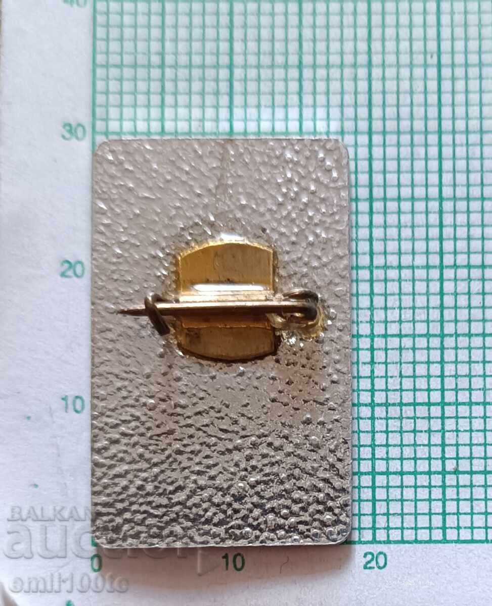 Emblemă - Întâlnire Națională a Instructorilor 1977 - 5