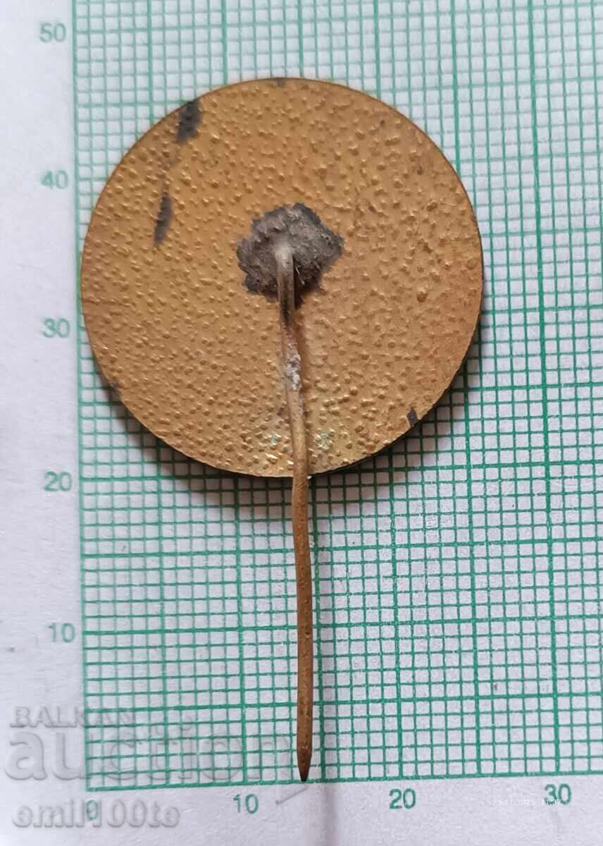 Доставка на Значка- Министерство на труда и социалните грижи