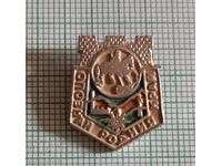 Badge - Recognize Your Native Region Shumen