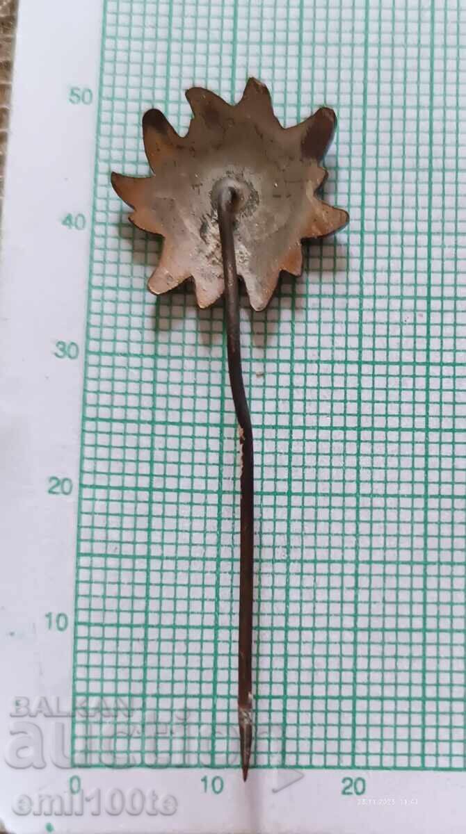 Badge - 50 g Tourist Society Aleko Sofia Cherni Vrah - 5