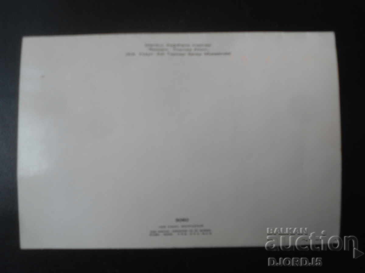 Licitație La Muzeul Palatului Topkapi, Istanbul, Card poștal vechi