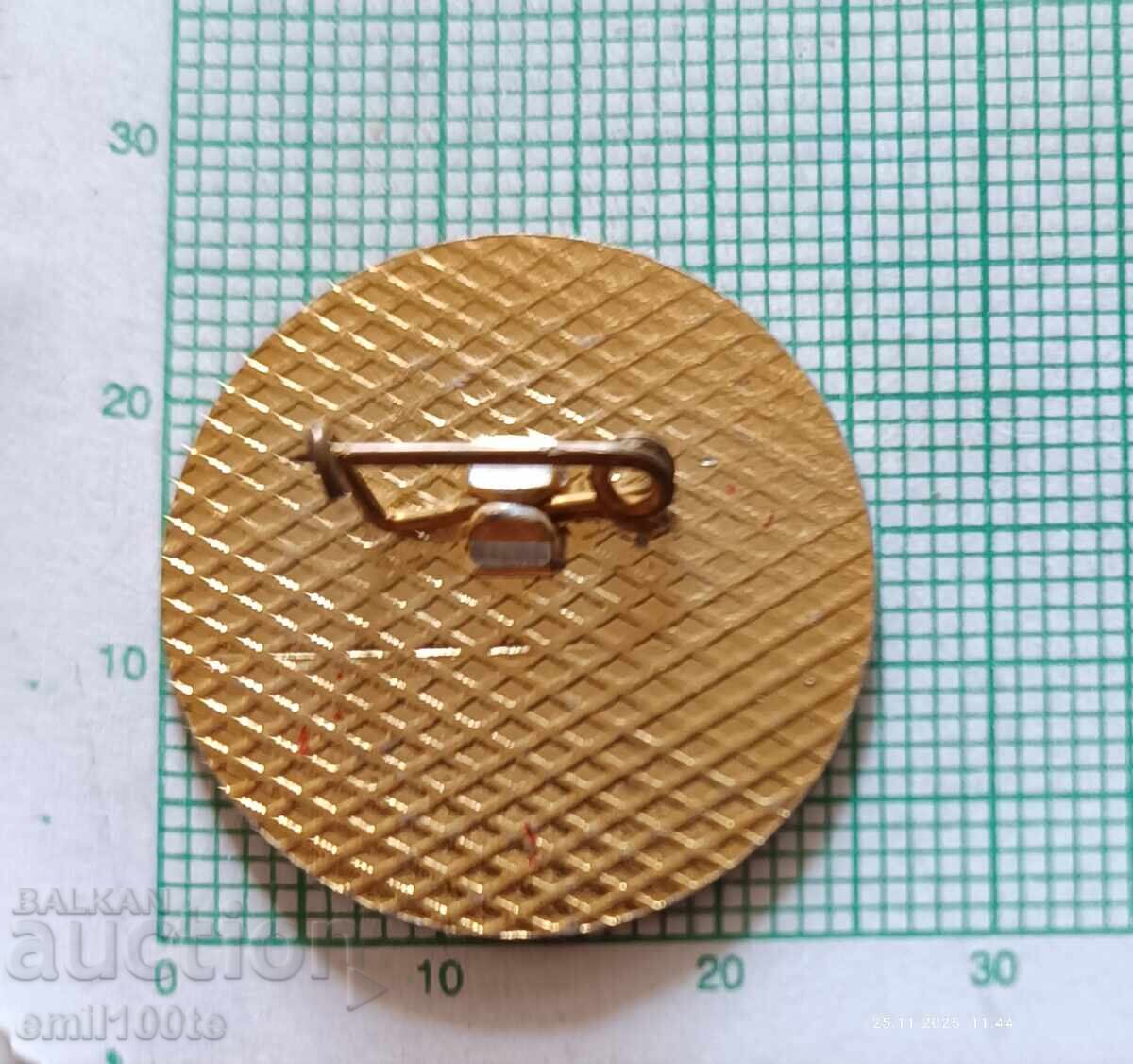 Livrarea Insigna - GIM Aleko Konstantinov Svishtov