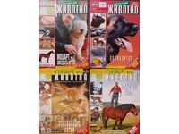 "I Love You, ANIMAL" Writings