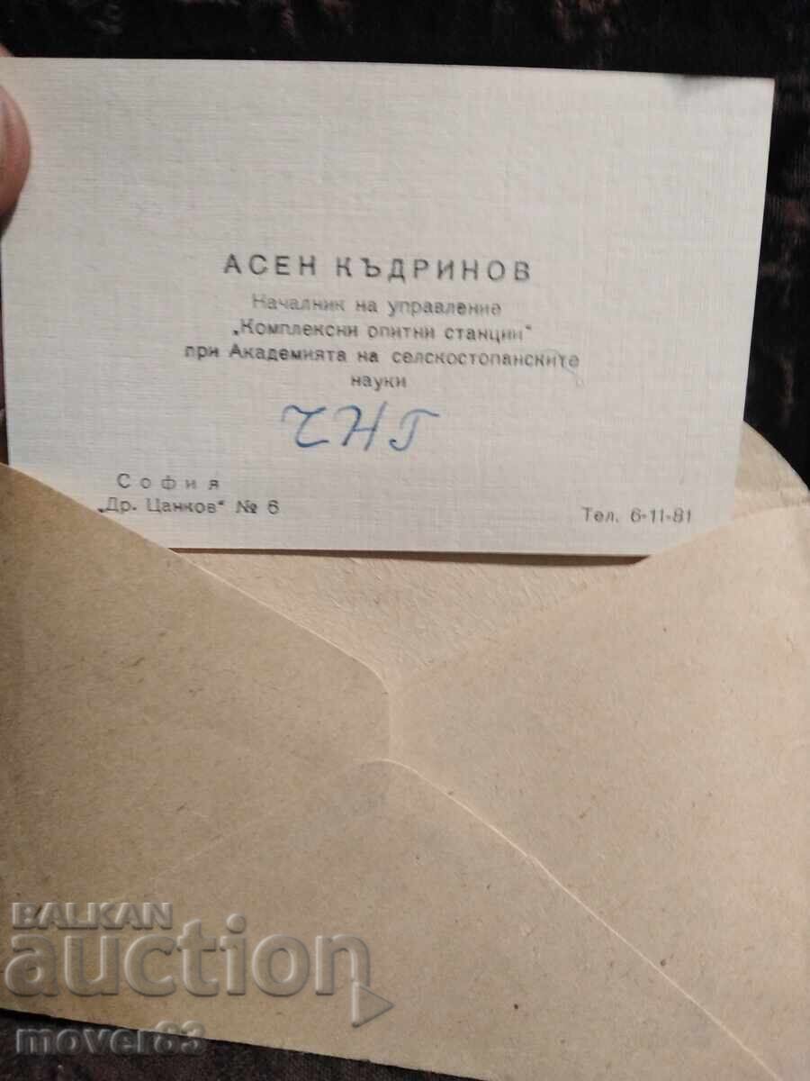 Auction Social Business Cards. Set Auction Social Business Cards. Set