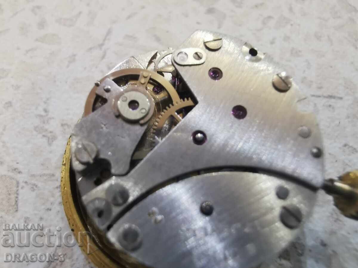 SPENDID - 6 SPENDID - 6