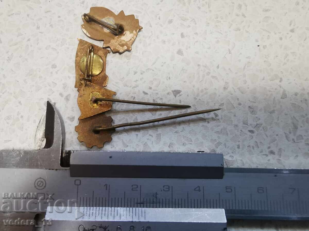 Licitație LOT INSIGNE-EMAILBRONZ