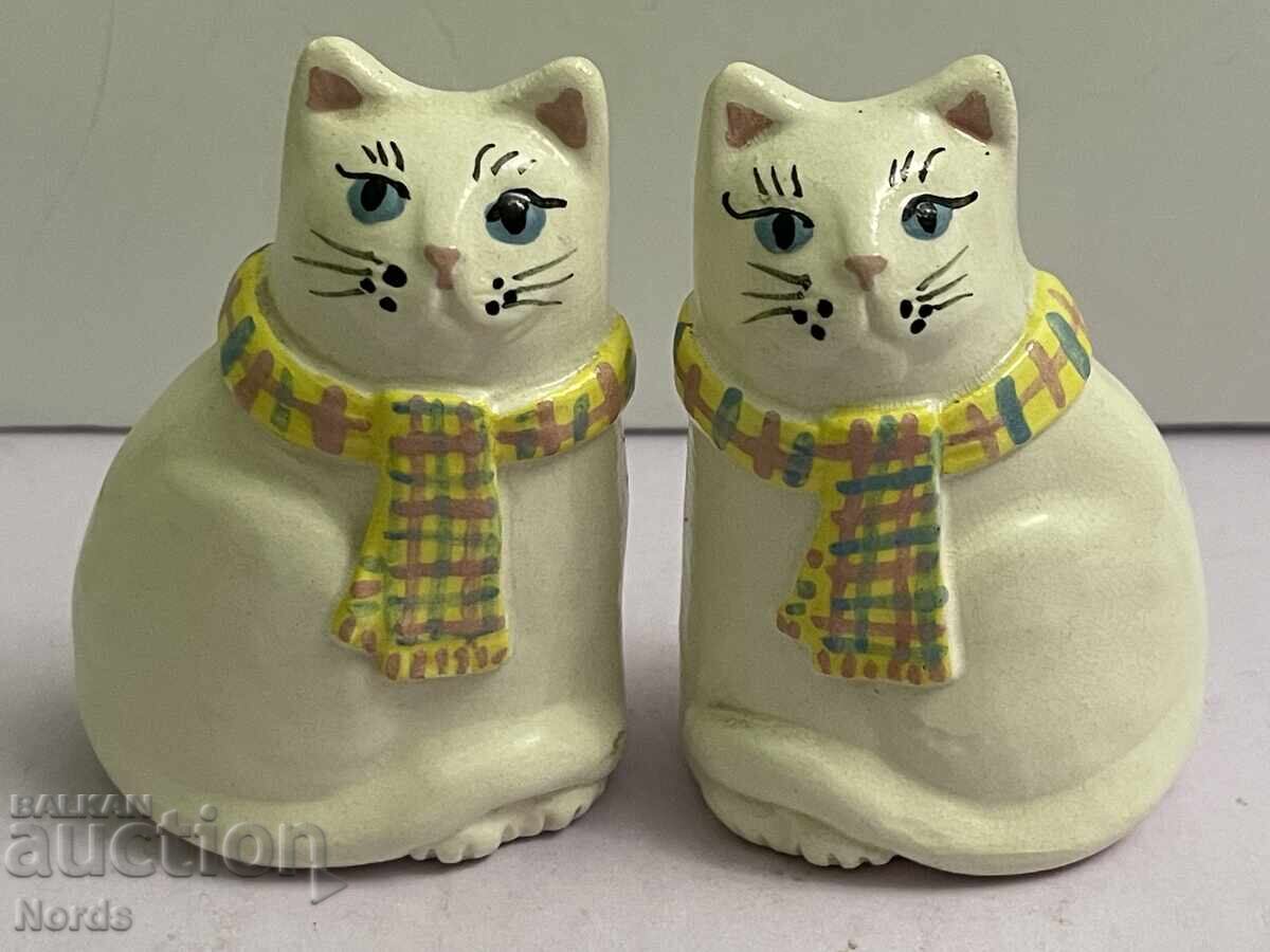 Delivery of Two beautiful kittens Delivery of Two beautiful kittens