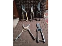 Old vine shears. 5 pieces