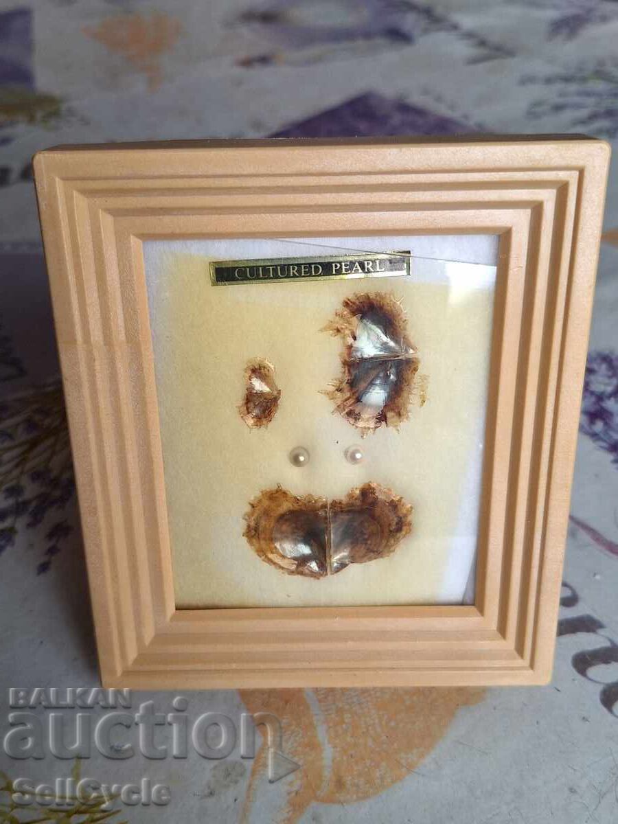 ✅ SOUVENIR PEARL IN A FRAME❗