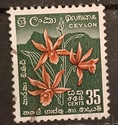 Σρι Λάνκα/Κεϋλάνη Φλόρα/Λουλούδια