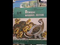 Birds of our forests