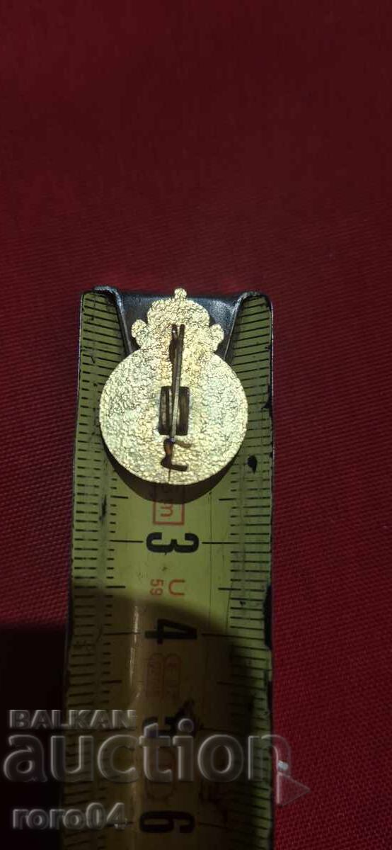 LEUȚ - COROANĂ - 6