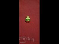 ЛЪВЧЕ - КОРОНА