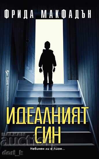 Perfectul băiat + carte CADOU