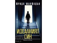 Perfectul băiat + carte CADOU