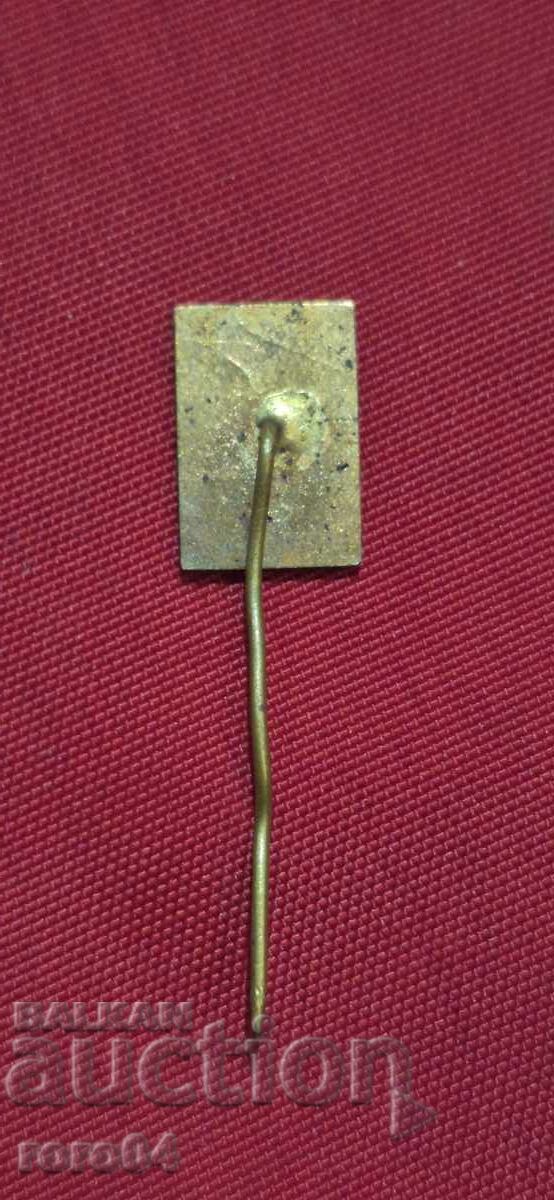 Licitație LEUȚ Licitație LEUȚ