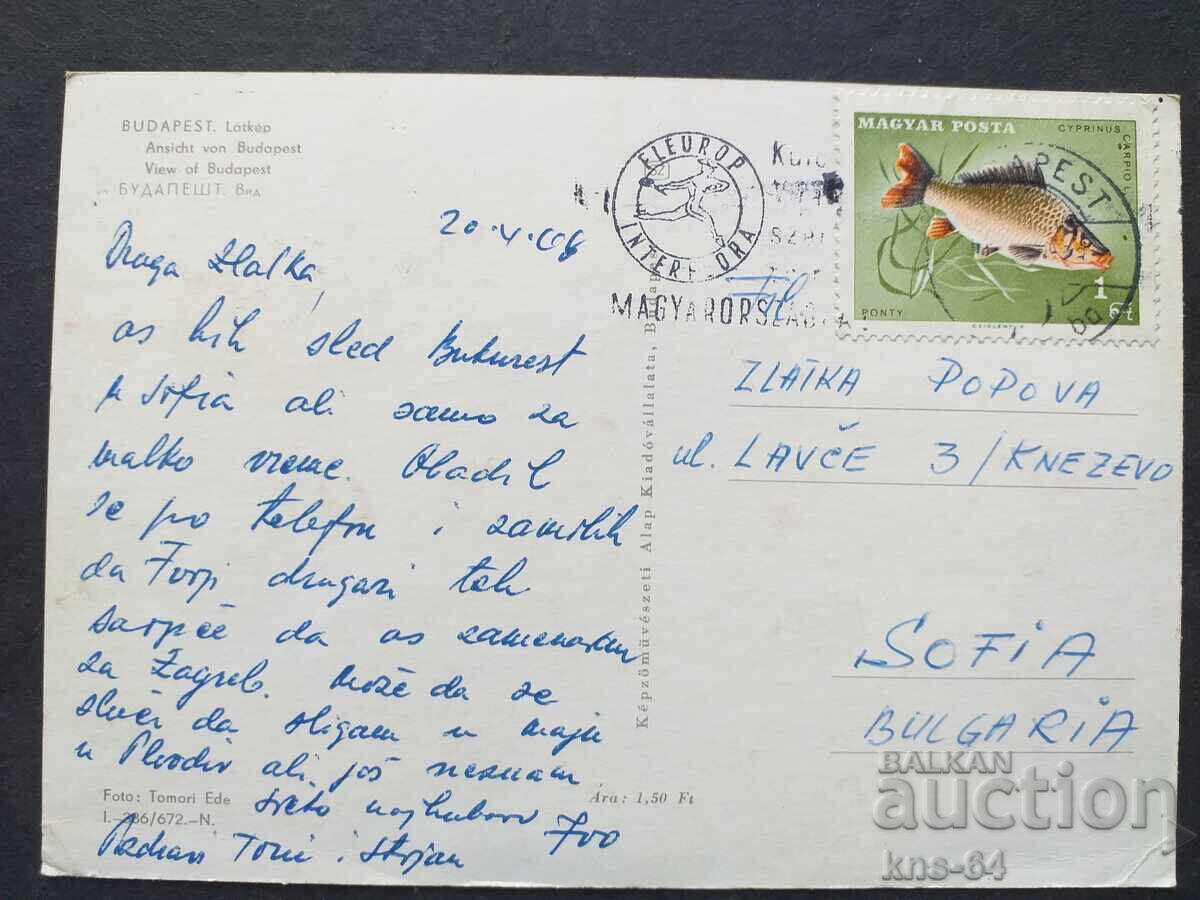 Унгария Пътувала с цена 0.70 лв. | € 0.36 Унгария Пътувала с цена 0.70 лв. | € 0.36