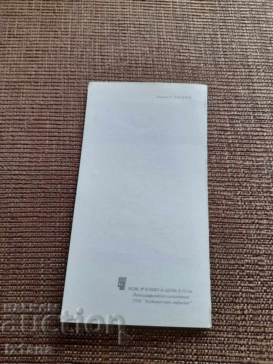 Licitație Felicitare veche de Anul Nou Fericit