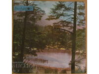 ГРАМОФОННА ПЛОЧА - Г.РАФАИЛОВ, малък формат