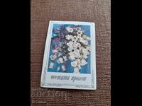 Old greeting card Happy Spring