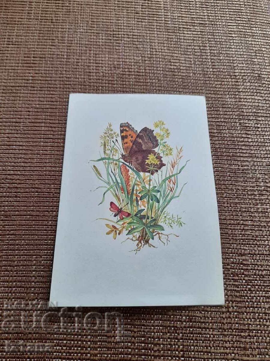 Old greeting card Old greeting card