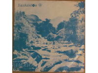 PLĂCI DE GRAMOFON - MUZICĂ UȘOARĂ ȘI DE DANS - format mic