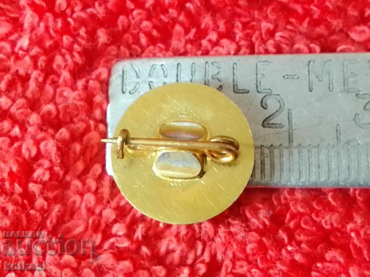 Old sports badge handball BFH with price € 1.02 | 1.99 BGN