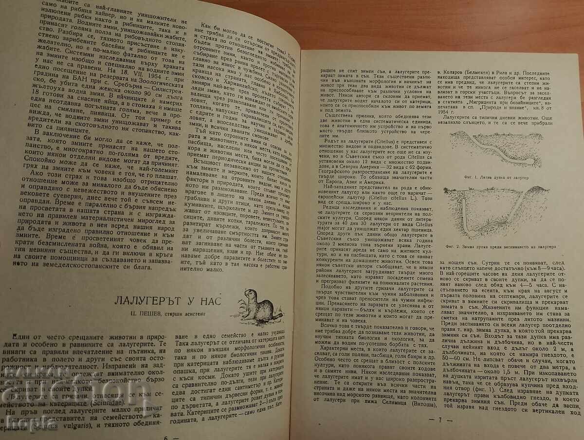 Δημοπρασία Περιοδικό ΦΥΣΗ ΚΑΙ ΓΝΩΣΗ 1954 Δημοπρασία Περιοδικό ΦΥΣΗ ΚΑΙ ΓΝΩΣΗ 1954