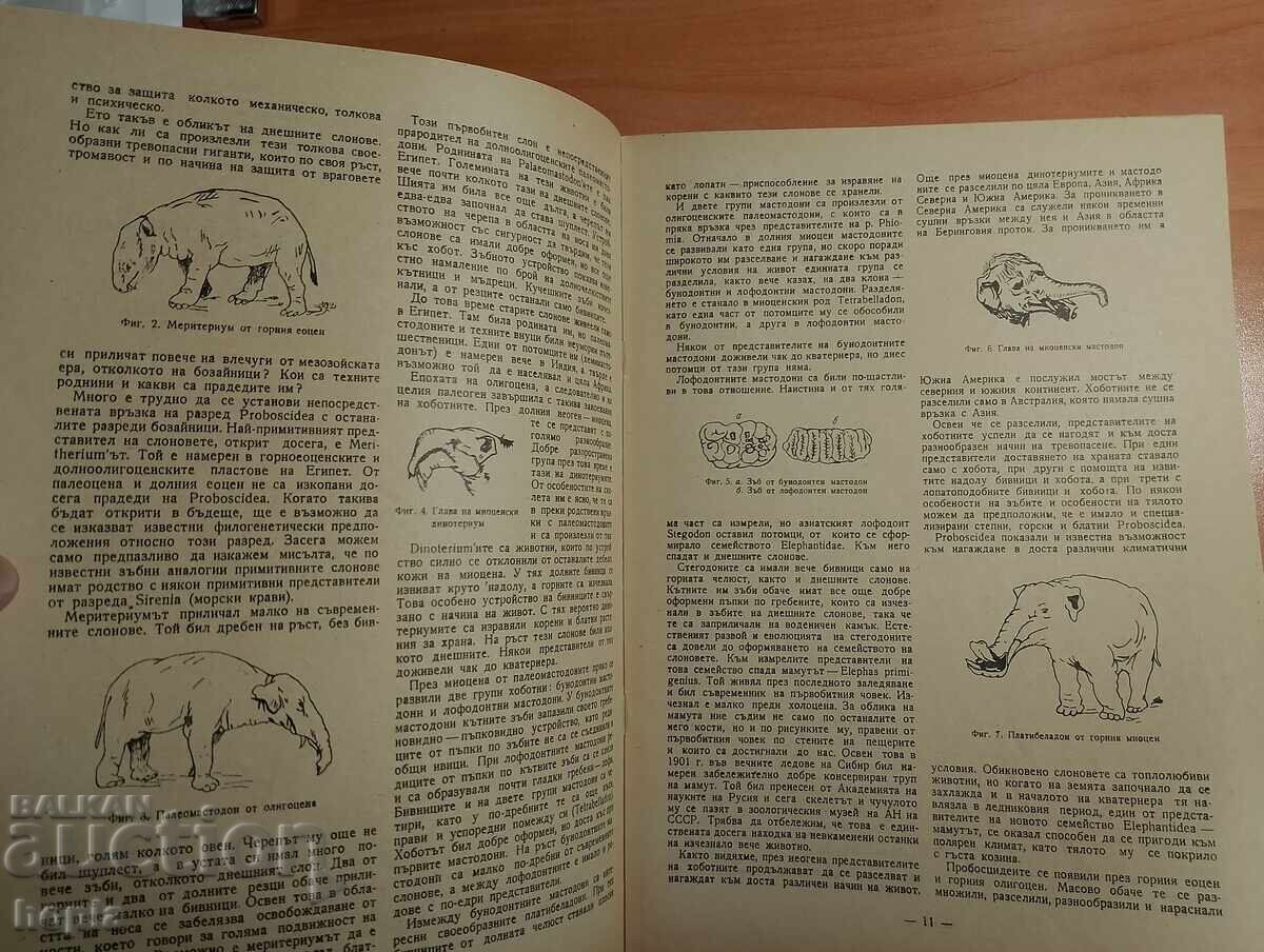 Παράδοση Περιοδικό ΦΥΣΗ ΚΑΙ ΓΝΩΣΗ 1954 Παράδοση Περιοδικό ΦΥΣΗ ΚΑΙ ΓΝΩΣΗ 1954