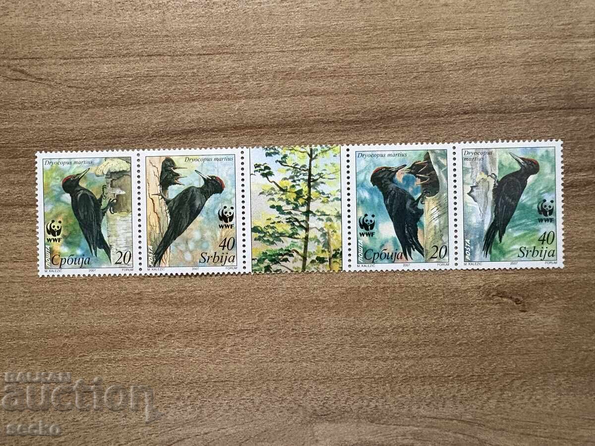 Serbia - Ciocănitoare neagră (2007) MNH Serbia - Ciocănitoare neagră (2007) MNH