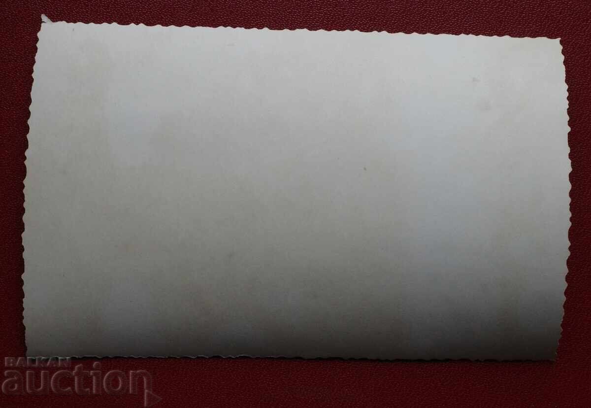 Athletic Bodies with price 5.00 BGN | € 2.56 Athletic Bodies with price 5.00 BGN | € 2.56