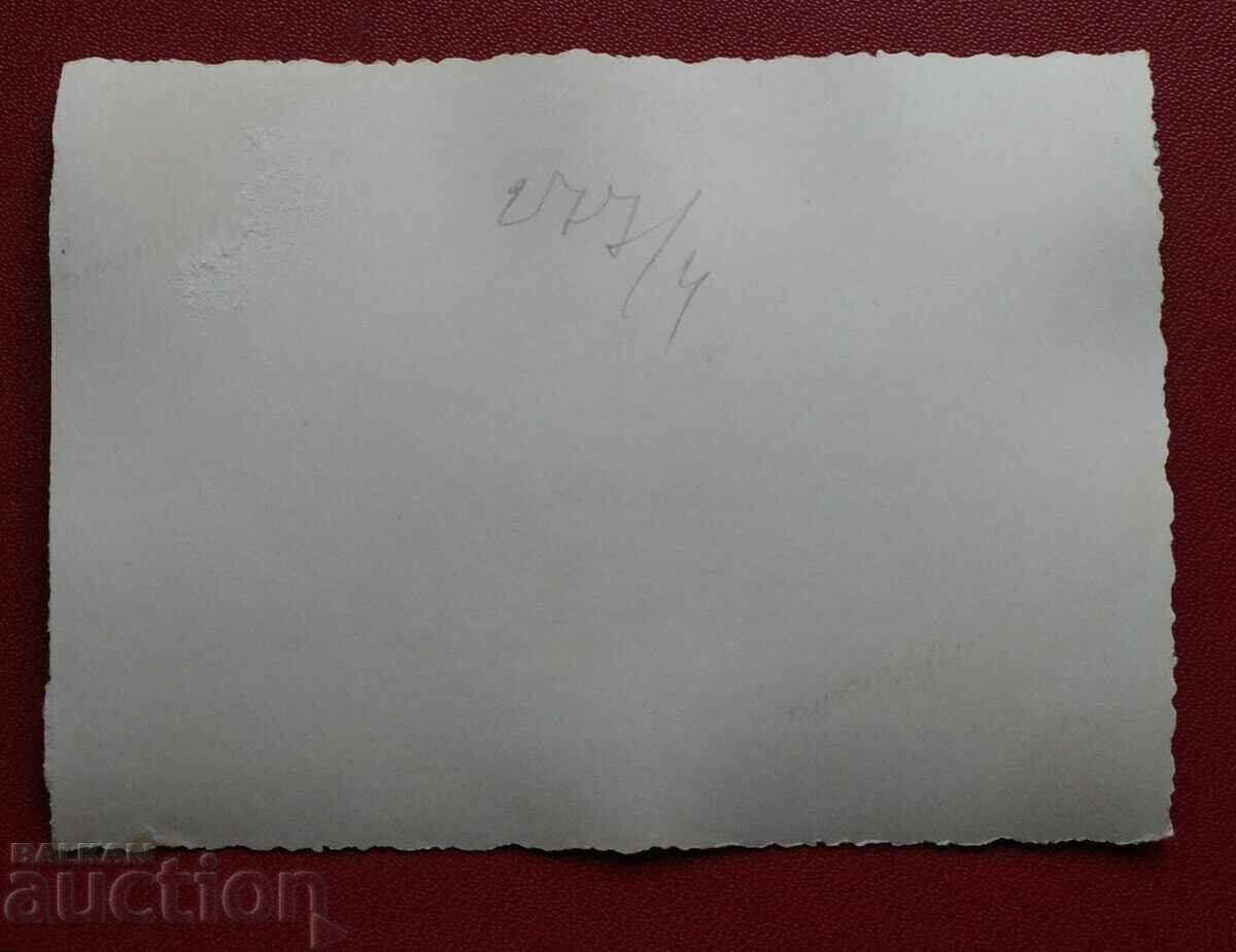 Аукцион Софив 1943г Аукцион Софив 1943г